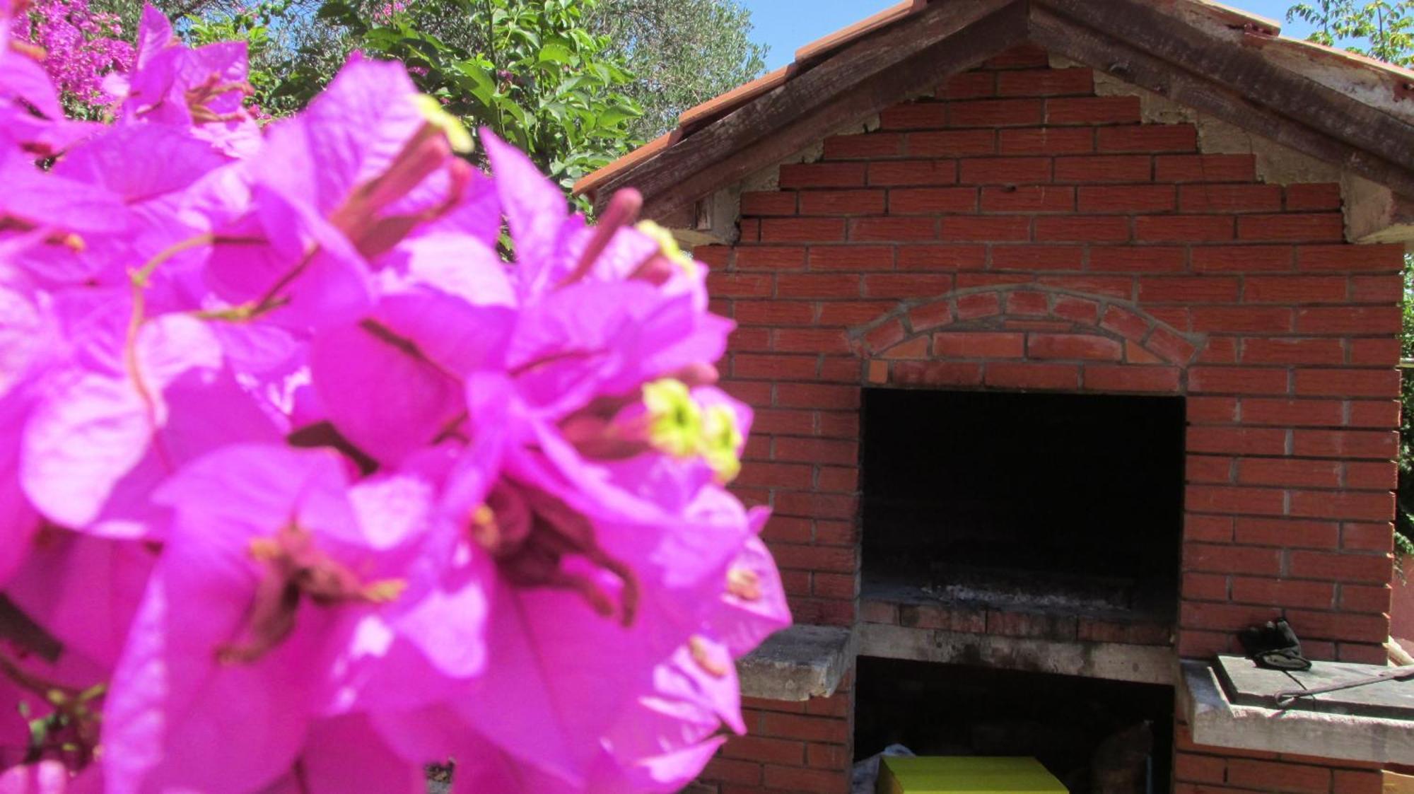Apartmani Carmen Bibinje Quarto foto